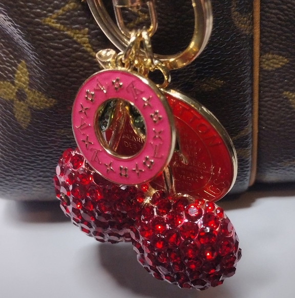 Louis Vuitton Zipper Pulls (2) - Picture 3 of 10